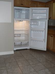 a sparkling clean GE refrigerator with glass "spillproof" shells.